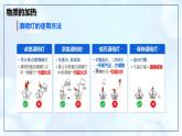 1.2 化学实验与科学探究（第2课时）-初中化学九年级上册同步教学课件+同步练习（人教版2024）