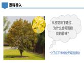 2.2构成物质的微观粒子（第1课时）初中化学九年级上册同步教学课件+同步练习（科粤版2024）