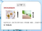 人教版九年级化学下册第三单元《常见的酸和碱-酸和碱的中和反应1》PPT课件