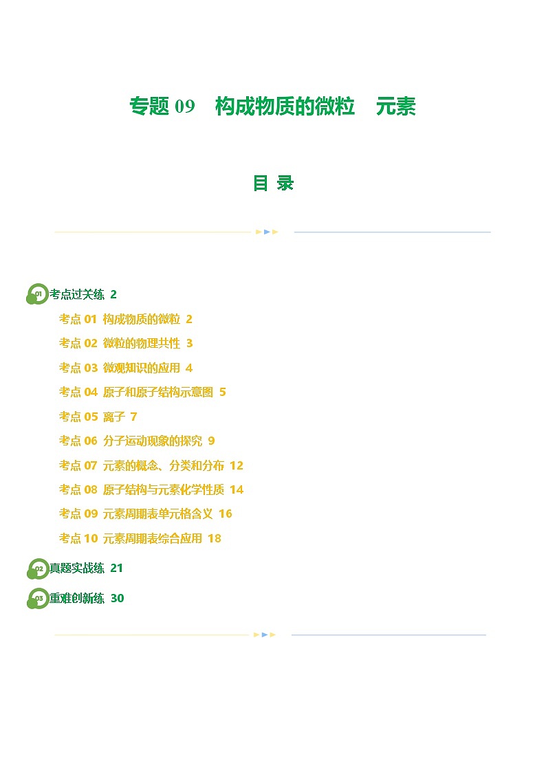专题09 构成物质的微粒 元素（练习）-中考化学一轮复习讲练测（全国通用）（解析版）01