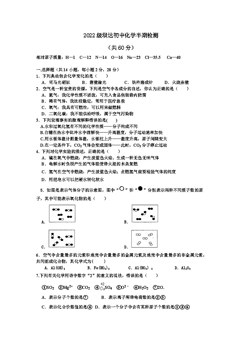 四川省仁寿县坝达初级中学校2023-2024学年九年级上学期期中化学检测试卷01