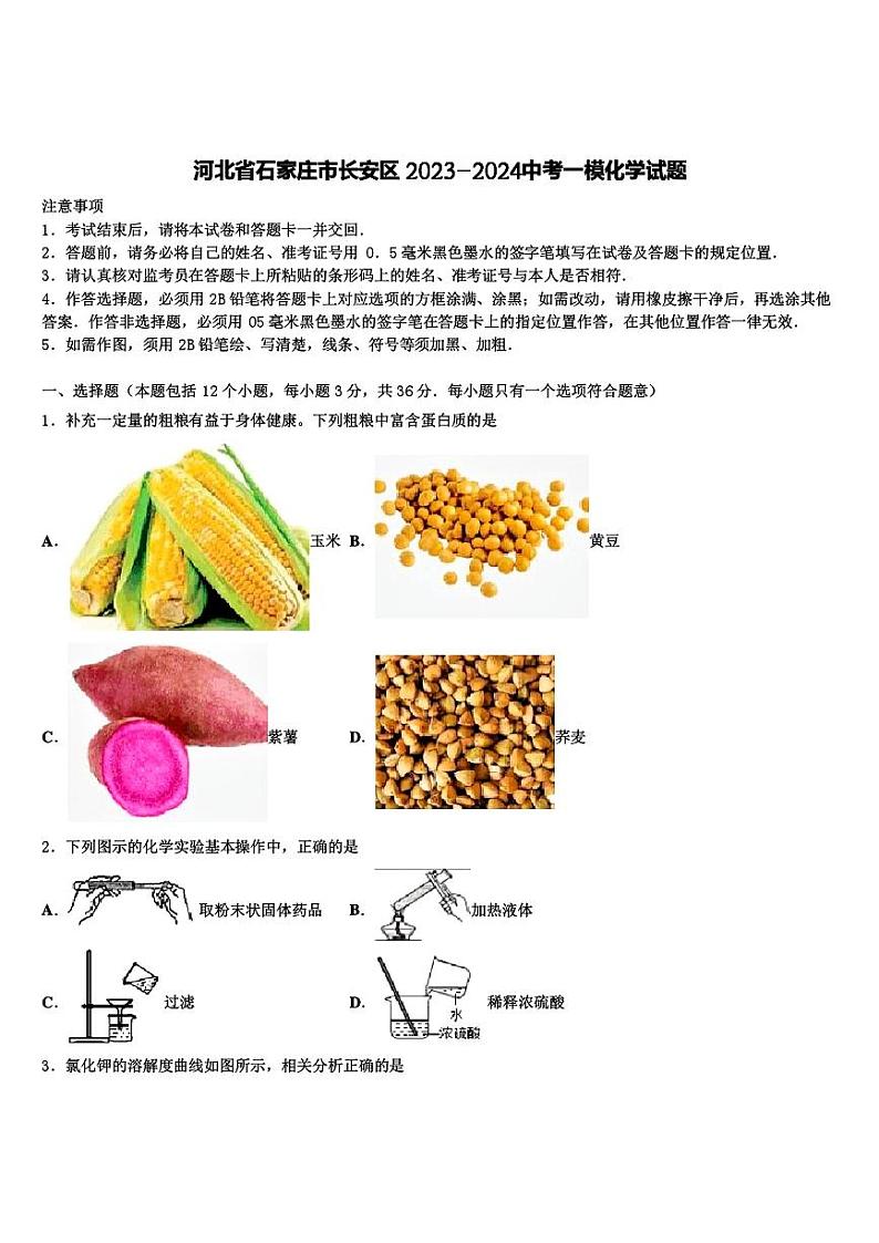 2024年河北省石家庄市长安区中考一模化学试题01
