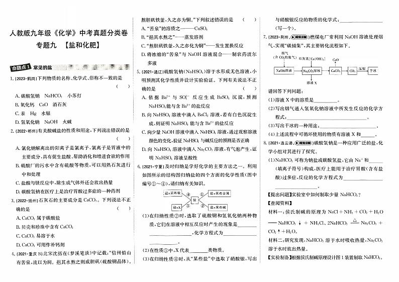 人教版九年级《化学》中考真题分类卷【专题九   盐和化肥】第1页