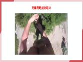 【核心素养】人教版化学九上第7单元课题1 燃料的燃烧 第1课时 课件+教学设计+分层练习