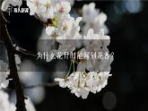 人教版（2024）九年级上册化学 第三单元课题1 分子和原子 第1课时 物质由微观粒子构成 同步课件+教案+素材