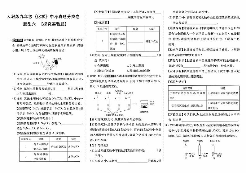 人教版九年级《化学》中考真题分类卷【题型六    探究实验题】第1页