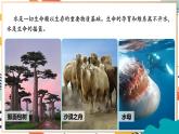 【2024秋季新教材】人教版化学九年级上册 4.1 水资源及其利用 课件