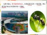 【2024秋季新教材】人教版化学九年级上册 3.2.2 原子的结构 第2课时原子核外电子的排布 课件