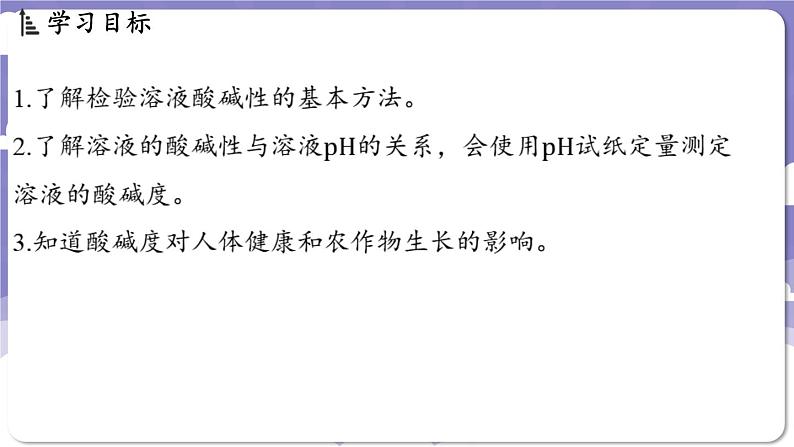 8.1 溶液的酸碱性（课件）---2024-2025学年九年级化学科粤版（2024）下册02