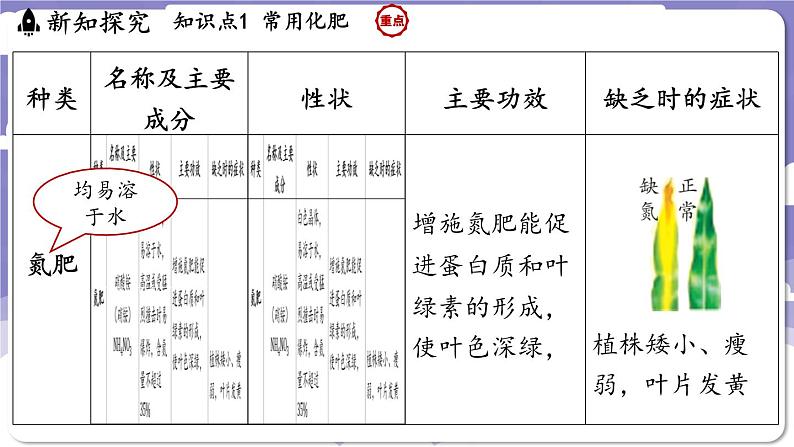 8.5 化学肥料（课件）---2024-2025学年九年级化学科粤版（2024）下册06