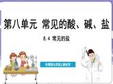 8.4 常見的鹽（課件）---2024-2025學(xué)年九年級(jí)化學(xué)科粵版（2024）下冊(cè)