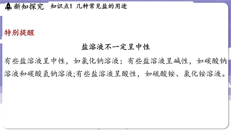 8.4 常见的盐（课件）---2024-2025学年九年级化学科粤版（2024）下册08