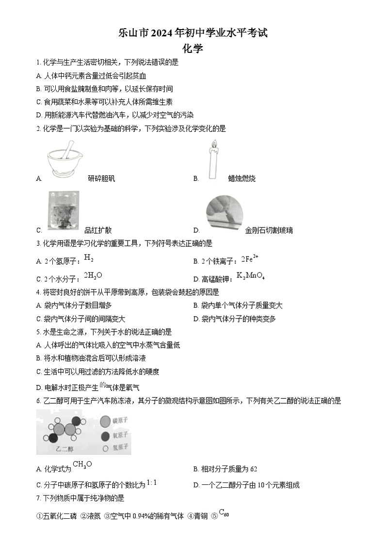 2024年四川省乐山市中考化学真题（原卷版）第1页