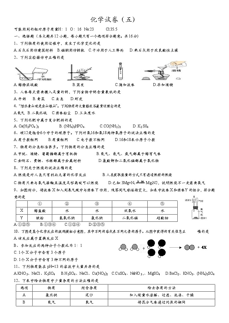 2024年辽宁省丹东市第十九中学中考化学模拟试卷（五）第1页