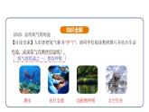 2.1 我们周围的空气 第2课时（课件）---2024-2025学年九年级化学人教版（2024）上册