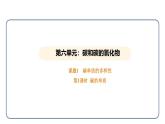 6.1 碳单质的多样性 第1课时（课件）---2024-2025学年九年级化学人教版（2024）上册