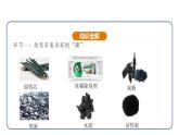 6.1 碳单质的多样性 第1课时（课件）---2024-2025学年九年级化学人教版（2024）上册