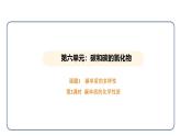 6.1 碳单质的多样性 第2课时（课件）---2024-2025学年九年级化学人教版（2024）上册