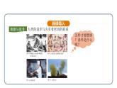 7.1 燃料的燃烧 第1课时（课件）---2024-2025学年九年级化学人教版（2024）上册