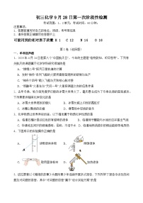 山东省聊城市莘县翔宇学校2024-2025学年九年级上学期第一次月考化学试题