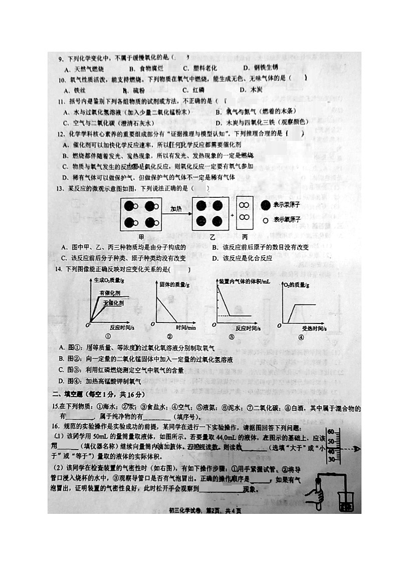 河南省新乡市第一中学2024-2025学年九年级上学期10月月考化学试题第2页