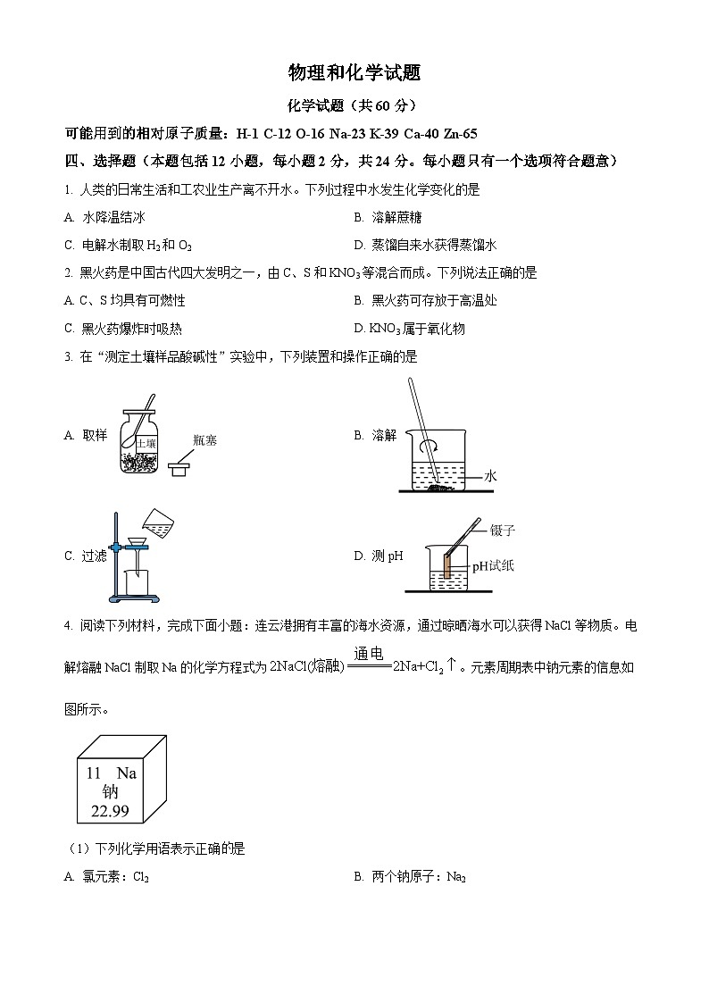 2024年江苏省连云港市中考化学真题（原卷版）第1页