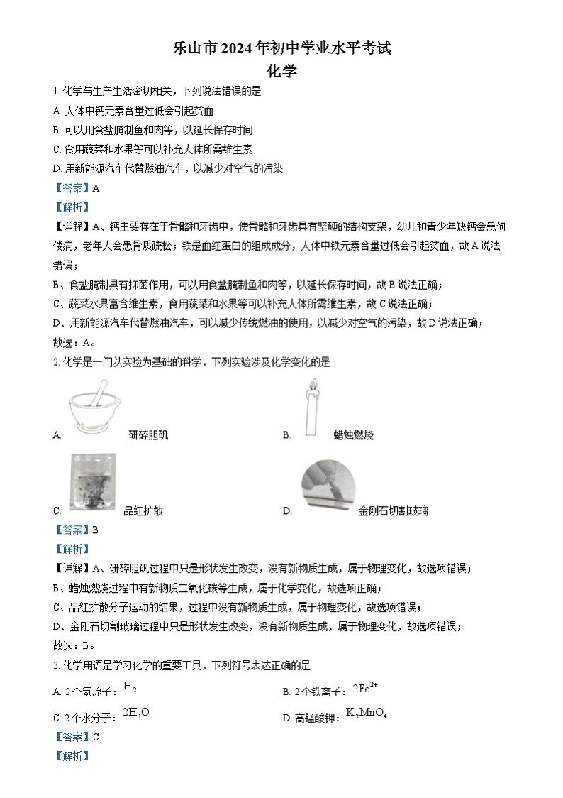 2024年四川省乐山市中考化学真题（解析版）第1页
