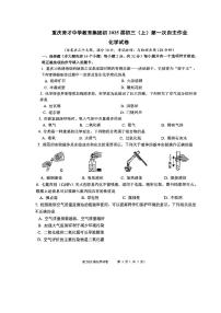 重庆市育才中学校教育集团2024-2025学年九年级上学期第一次月考化学试卷