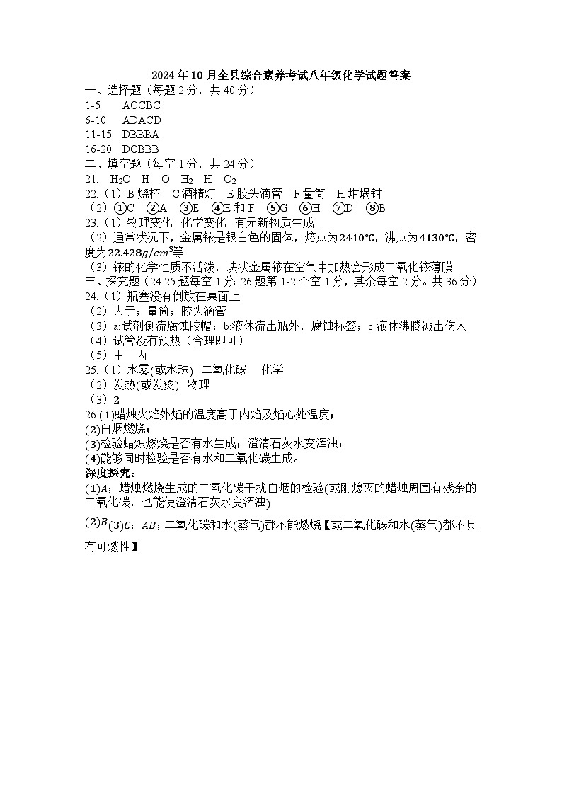 山东省东营市利津县2024-2025学年八年级上学期10月月考化学试题01