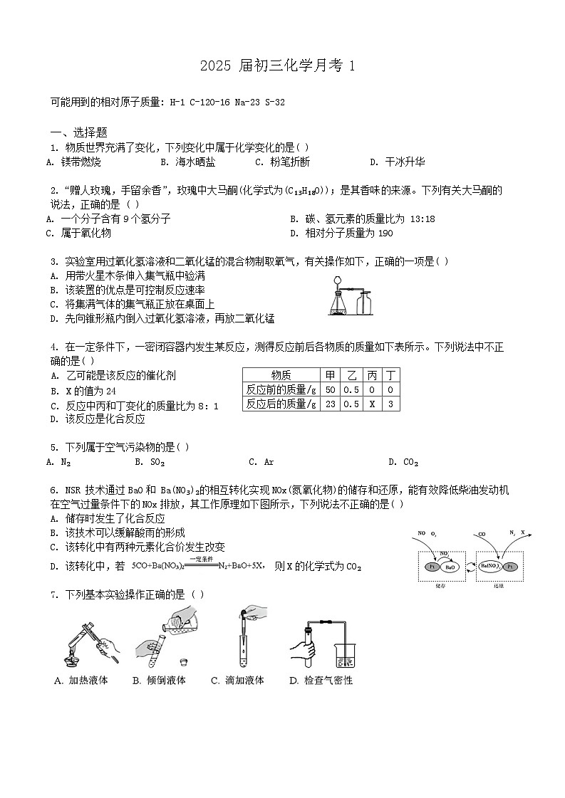 上海市杨浦实验中学2024-2025学年九年级上学期10月考化学试卷第1页