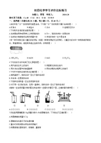 山东省泰安市泰山区2024-2025学年九年级（五四学制）上学期10月考化学试卷(无答案)