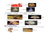 2024人教版初中九年级化学  第一单元 走进化学世界（考题猜想）（25大题型）练习题