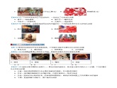 2024人教版初中九年级化学  第一单元 走进化学世界（考题猜想）（25大题型）练习题