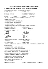 山东省泰安市2024--2025学年九年级上学期第一次月考化学测试卷(无答案)