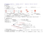 人教版（2024）初中化学九年级上册 第四单元 课题二  水的组成学案
