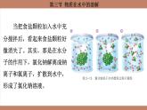 鲁教版（2024）初中化学九年级上册--3.3 物质在水中的溶解 （课件）