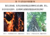 鲁教版（2024）初中化学九年级上册--5.1 化学反应中的质量守恒 （课件）