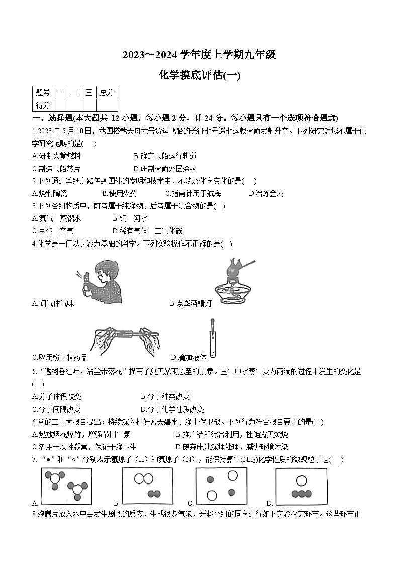 2023-2024学年陕西省渭南市蒲城县九年级（上）摸底化学试卷（一）.第1页