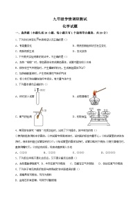 江苏省徐州市沛县2024-2025学年九年级上学期第一次学情调研测试化学试题（含答案解析）