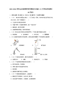 2023-2024学年山东省菏泽市巨野县九年级（上）月考化学试卷（10月份）