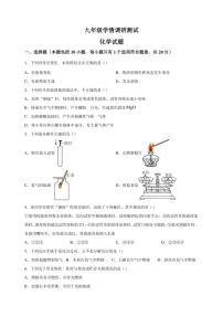 [化学]江苏省徐州市沛县2024～2025学年九年级上学期第一次学情调研测试月考试题(有解析)