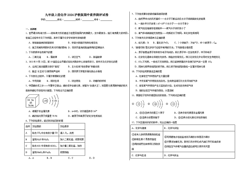期中素养测评试卷---2024-2025学年九年级化学沪教版（全国）(2024)上册01
