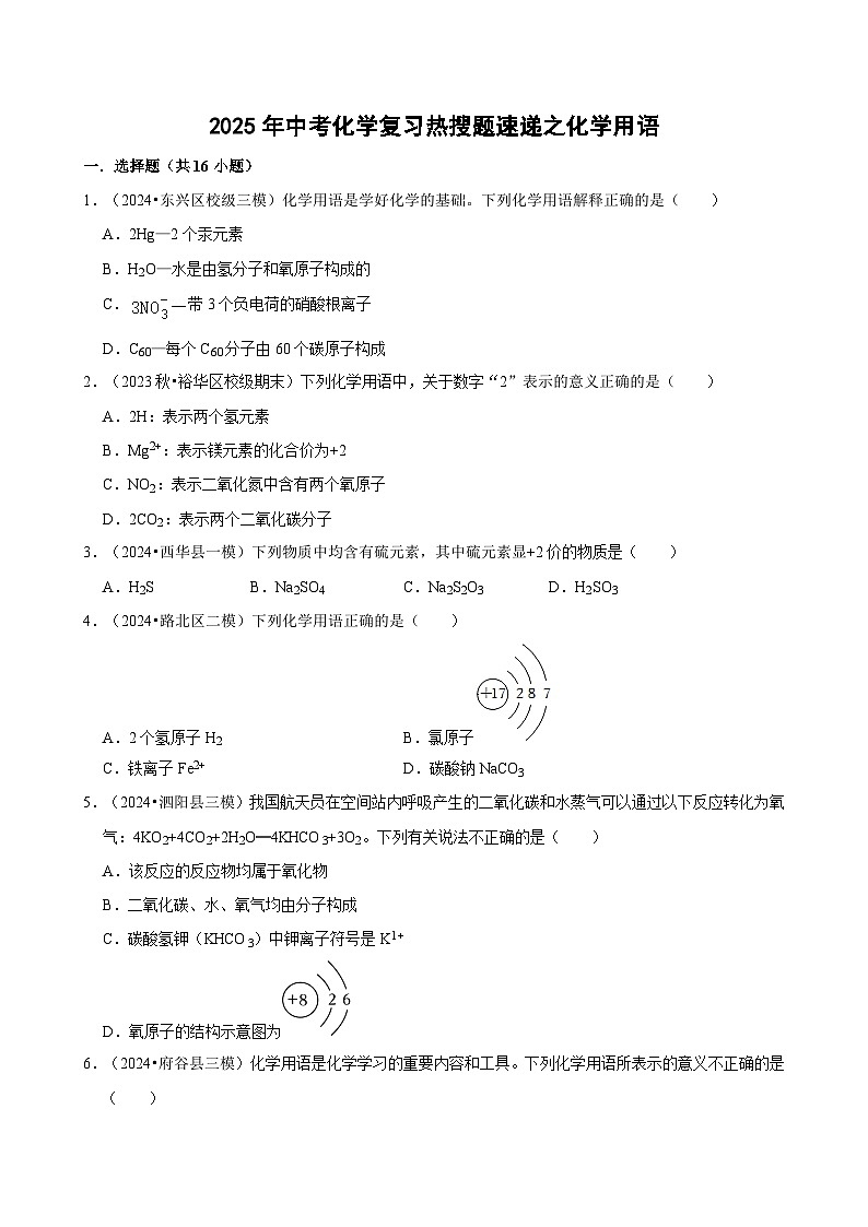 2025年中考化学复习热搜题速递之化学用语  学案第1页