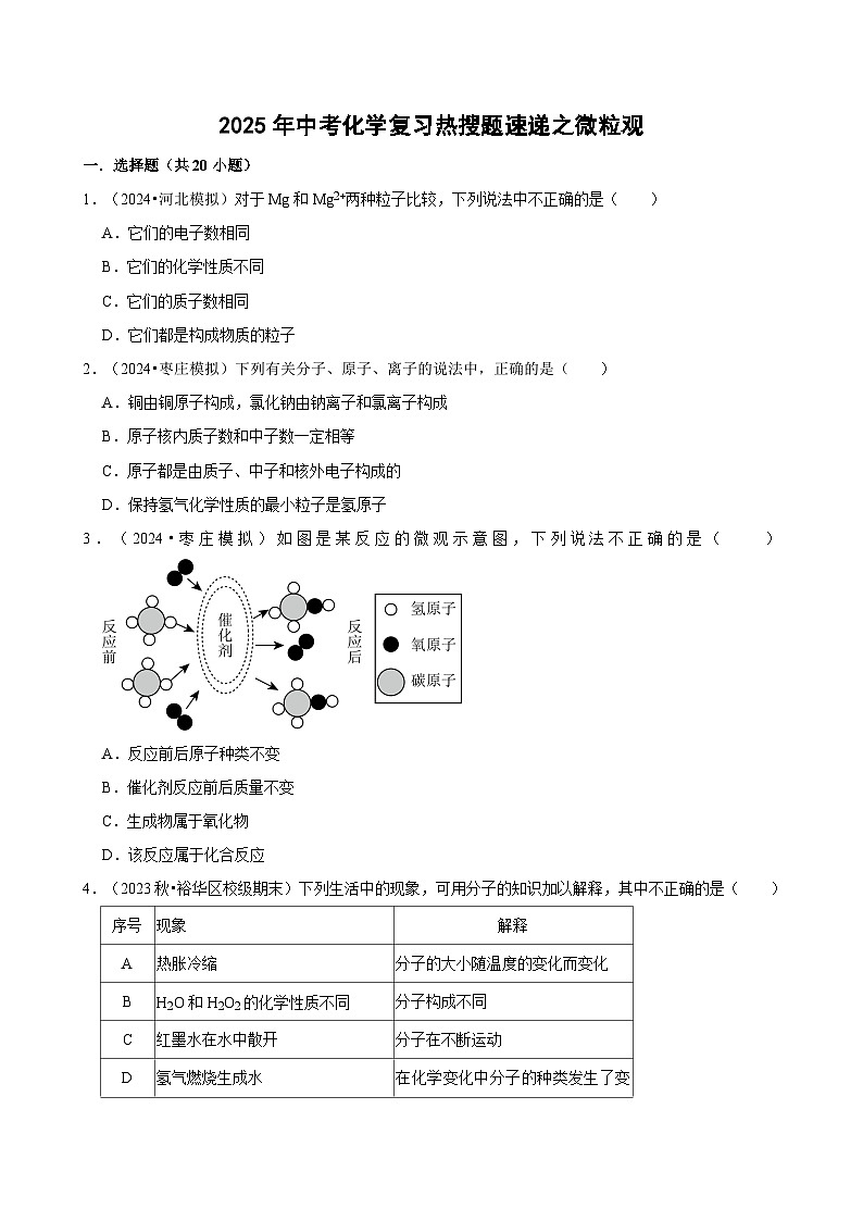 2025年中考化学复习热搜题速递之微粒观  学案01