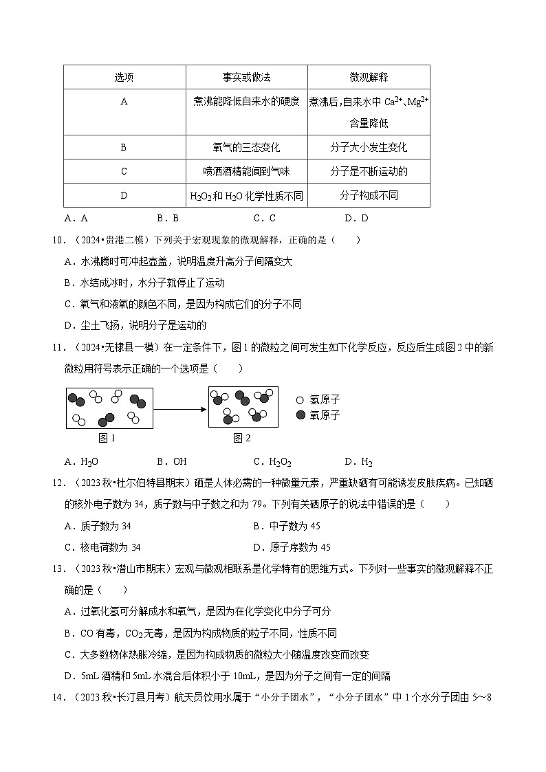 2025年中考化学复习热搜题速递之微粒观  学案03