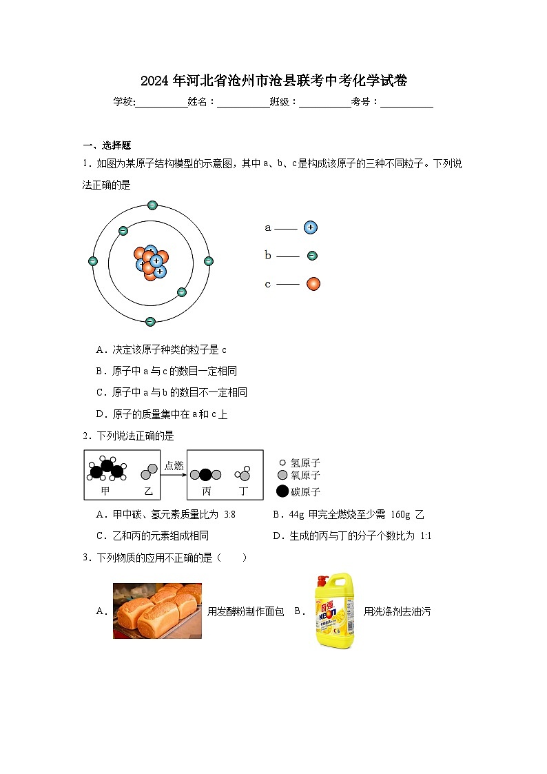 2024年河北省沧州市沧县联考中考化学试卷第1页