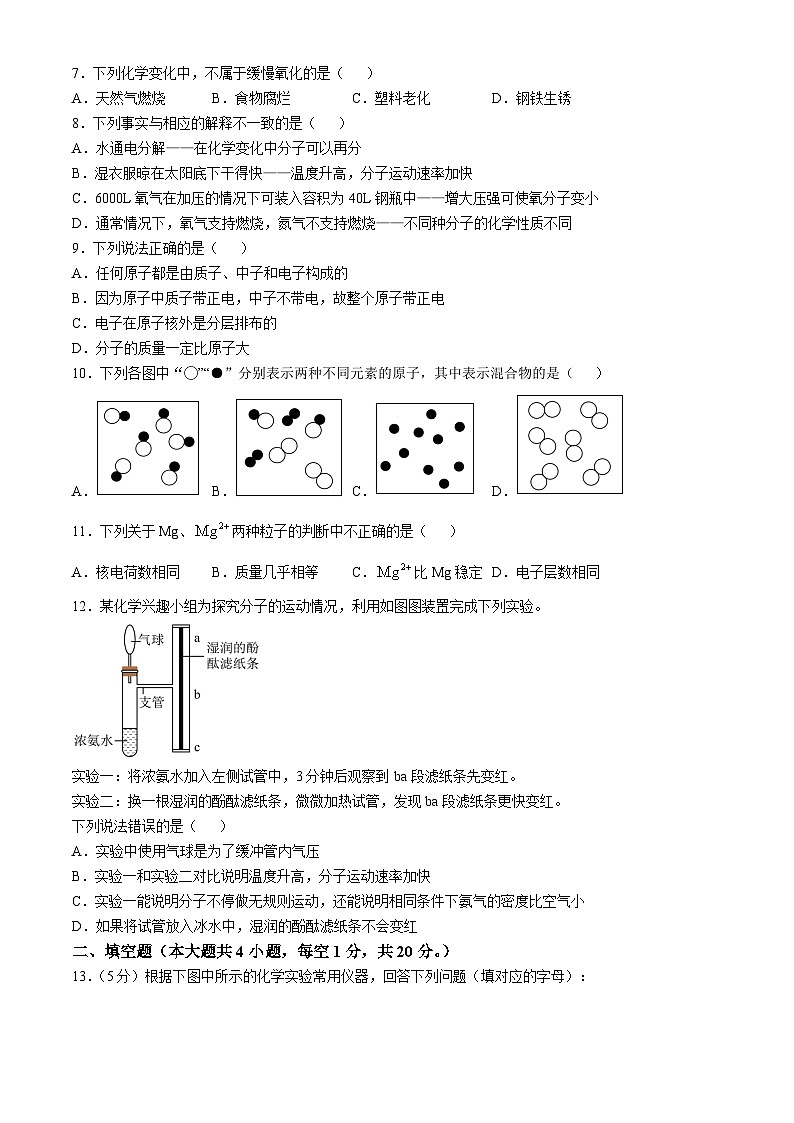 湖北省武汉市西藏中学2024--2025学年九年级上学期9月月考化学试卷02