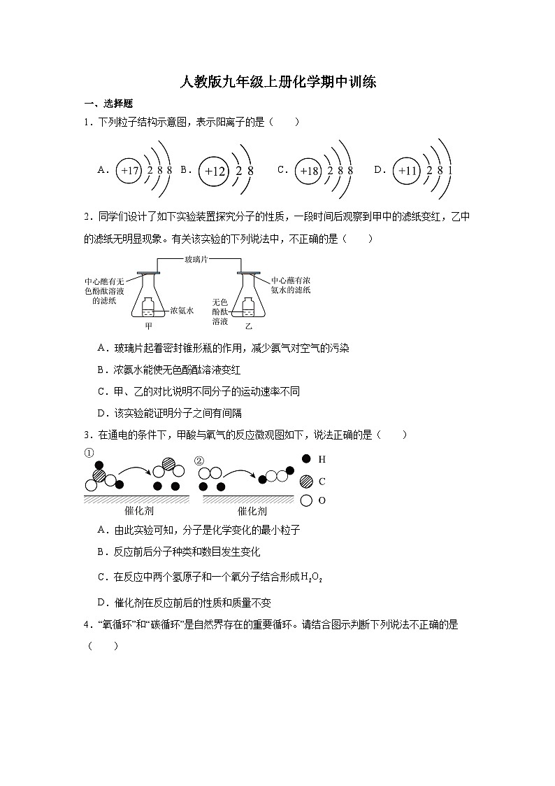 2024-2025学年九年级化学人教版2024上册期中训练01