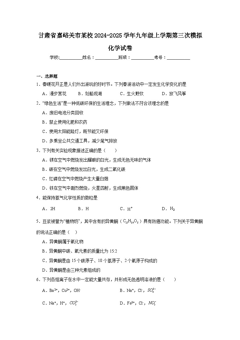 甘肃省嘉峪关市某校2024-2025学年九年级上学期第三次模拟化学试卷第1页