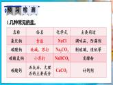 人教版（2024）九年级化学下册-10.3 常见的盐 第1课时（课件+素材）